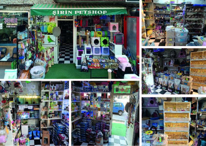karabuk-sirin-petshopjpg